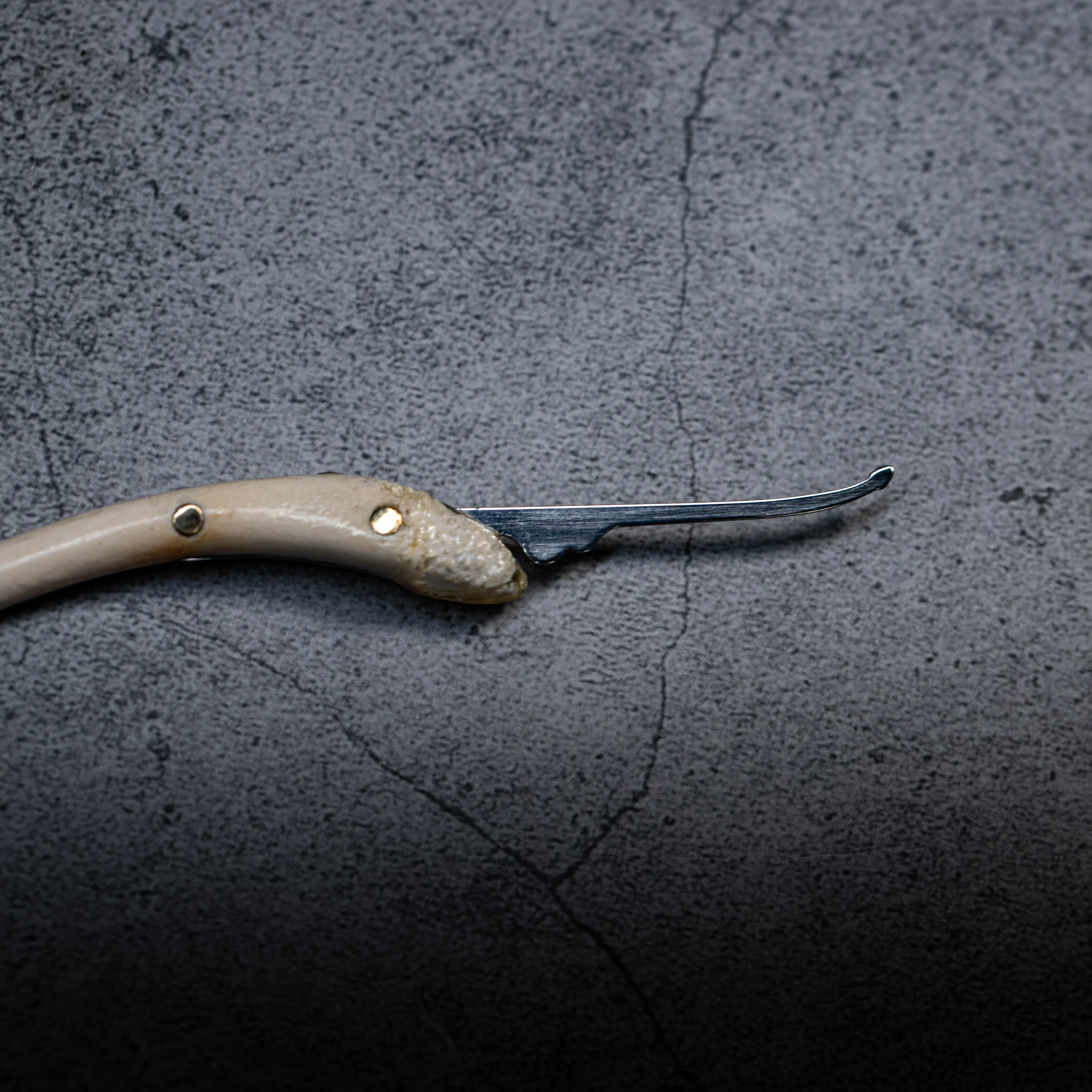 LockPickingDev Raccoon "Dick Pick" Custom Lock Pick - Image 2